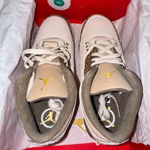 Air Jordan 3 Retro